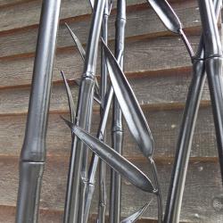 garde corps, décoration, bamboo